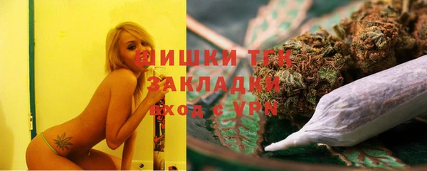 дмт Дмитриев