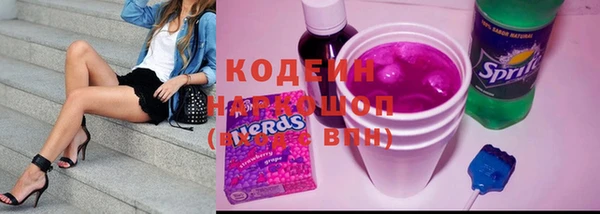 прущий лед Гусев