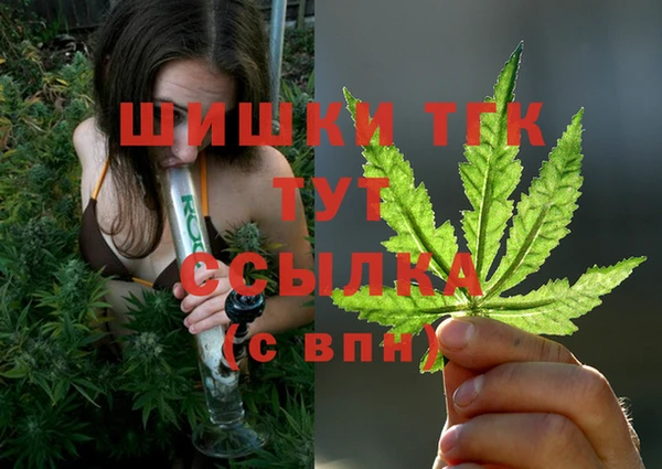 mix Гусиноозёрск