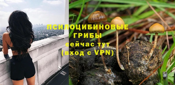 дмт Дмитриев