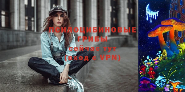 mix Гусиноозёрск