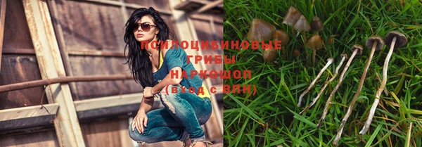mix Гусиноозёрск