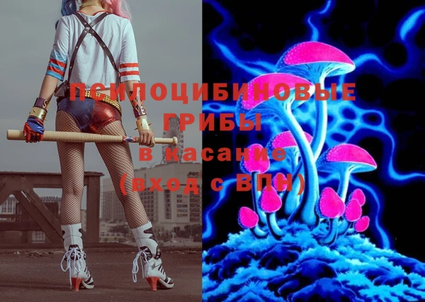 прущий лед Гусев