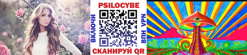 Купить  Спасск  Галлюциногенные грибы Cubensis 