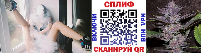 Бошки Шишки Amnesia  Купить закладки  Спасск 